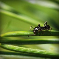 /album/%e3%82%ad%e3%83%aa%e3%82%b9%e3%83%88%e6%95%99%e3%81%ae%e5%ae%b6%e6%97%8f%e8%91%ac%e5%84%80%e3%82%84%e7%81%ab%e8%91%ac%e3%80%81%e6%95%99%e4%bc%9a%e3%81%a7%e3%81%ae%e5%91%8a%e5%88%a5%e5%bc%8f/photolia-a05-jpg/