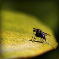 /album/%e3%82%ad%e3%83%aa%e3%82%b9%e3%83%88%e6%95%99%e3%81%ae%e5%ae%b6%e6%97%8f%e8%91%ac%e5%84%80%e3%82%84%e7%81%ab%e8%91%ac%e3%80%81%e6%95%99%e4%bc%9a%e3%81%a7%e3%81%ae%e5%91%8a%e5%88%a5%e5%bc%8f/photolia-a07-jpg/